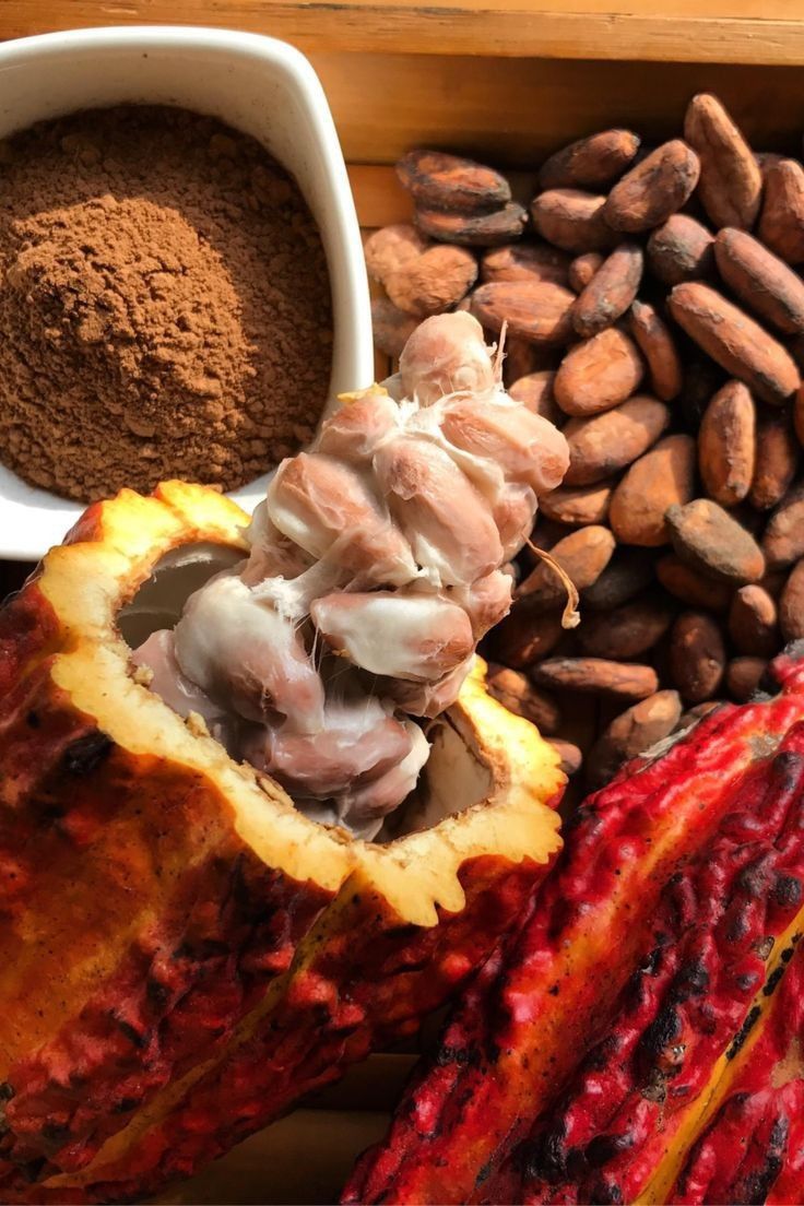 Cacao Supreme (Poudre de cacao )
