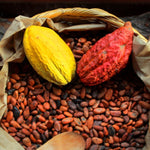 Cacao Supreme (Poudre de cacao )