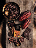 POUDRE DE CACAO 500g
