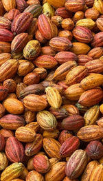 Cacao Supreme (Poudre de cacao )