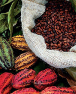 Cacao Supreme (Poudre de cacao )